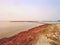 Mossy breakwater poles in foamy water of sea. Sandy beach wit algae,