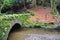 Mossy bridge over a River