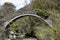 Mossy bridge over a river in a forest with bushes and flowers growing on its side