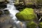 Mossy brook at the Belding Preserve in Vernon, Connecticut