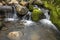 Mossy brook at the Belding Preserve in Vernon, Connecticut