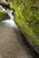 Mossy brook at the Belding Preserve in Vernon, Connecticut