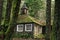 Mossy Country Stone Cottage in the Woods