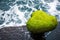 Mossy covered stone by the sea