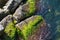 Mossy covered stones by the sea