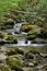 Mossy creek cascade