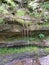 Mossy dried up waterfall