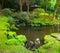 Mossy garden with a pond and japanese shrine. Landscape of outdoor meditation area in a calm forest. Buddhist prayer