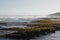 Mossy Green Coastal Beach Rock Pools