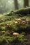 A mossy ground with tiny mushrooms in the background