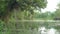 Mossy Lake and Swamp in the Mangrove Forest