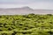 The Mossy Lava Fields near Vik in Iceland