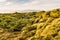 The Mossy Lava Fields near Vik in Iceland