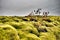 The Mossy Lava Fields near Vik in Iceland