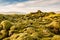 The Mossy Lava Fields near Vik in Iceland