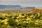 The Mossy Lava Fields near Vik in Iceland