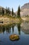 Mossy Rock in an Alpine Lake