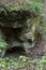 Mossy rock face in the forest