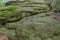 A mossy rock forms in the Przadki Spinners nature reserve