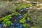 Mossy Rock Stream