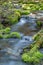 Mossy Rock Stream