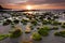 Mossy rocks at a beach in Kudat, Sabah, East Malaysia