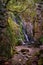 Mossy rocks, vegetation and a tree on a cliff next to the Fraga da Pena waterfall in an idyllic landscape in lowlight, Pardieiros