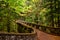 Mossy stone bridge trail through lush forest