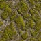 Mossy Stone. Seamless Tileable Texture.
