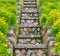 Mossy stone staircase among yellow flowers