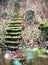 Mossy stone stairs in the overgrown allotment garden  2