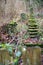 Mossy stone stairs in the overgrown allotment garden