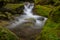 Mossy Stream, Washington State