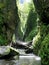 Mossy Sunlit Gorge