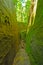 Mossy trail through a natural rock ravine