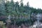 Mossy tree skeleton reflects in calm water of Sutton lake