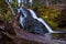 Mossy Waterfall