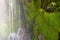 Mossy Waterfall Closeup