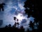 Most beautiful cloudy sky and trees shadow at afternoon.