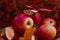 The most beautiful sweet apples of red color in a vase outdoors in autumn, against the background of red and burgundy trees