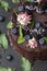 The most beautiful vegan cake is a birthday cake with blueberries, mint, blackberries and fresh flowers.