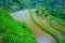 The most dramatic and spectacular rice terraces in Bali can be seen near the village of Tegallalang, in Ubud Indonesia