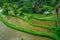 The most dramatic and spectacular rice terraces in Bali can be seen near the village of Tegallalang, in Ubud Indonesia