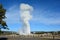 The most famous Old Faithful geyser eruption at Yellowstone