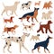 Most Popular Dog Breeds Set in Cartoon