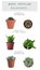 Most popular succulent varieties. Houseplants and names on background