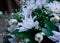 Most Popular Wedding white Flowers