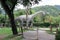 The most scary and huge dinosaur sculpture placed in jungle park photograph