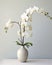 The Most Stunning Large Format Flower Orchids in an Expression W