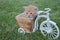 The most sweet Cat baby playing on a bicicle